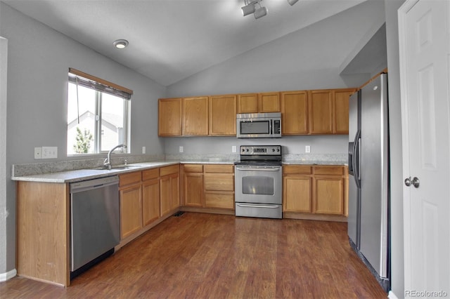 245 Homestead Way, Brighton, CO 80601 - kitchen featuring appliances with stainless steel finishes, dark wood-style floors, lofted ceiling, and light countertops