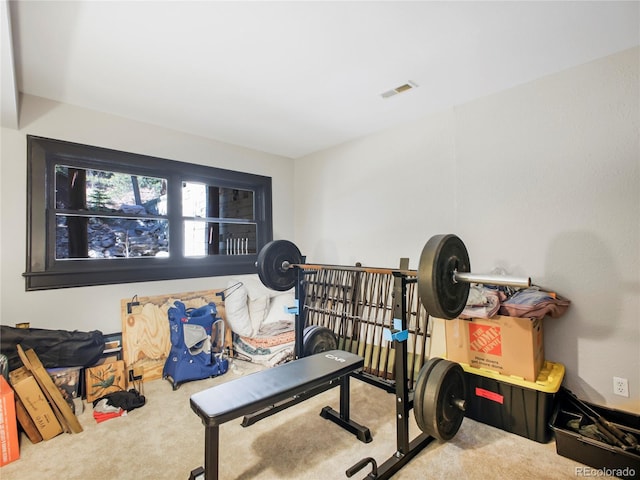 24 Pine Valley Rd, Evergreen, CO 80439 - exercise area with visible vents and carpet