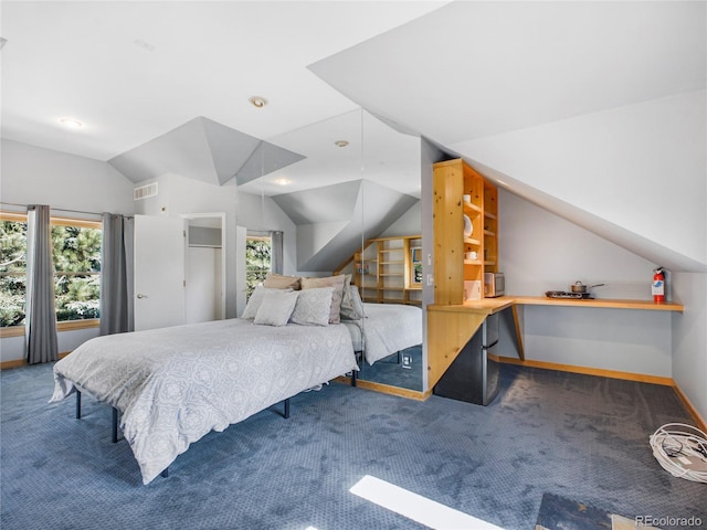 24 Pine Valley Rd, Evergreen, CO 80439 - bedroom featuring multiple windows, carpet flooring, and visible vents