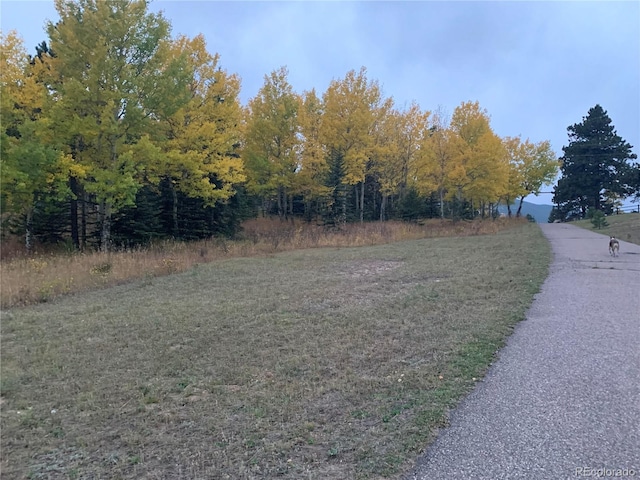 24 Pine Valley Rd, Evergreen, CO 80439 - view of road