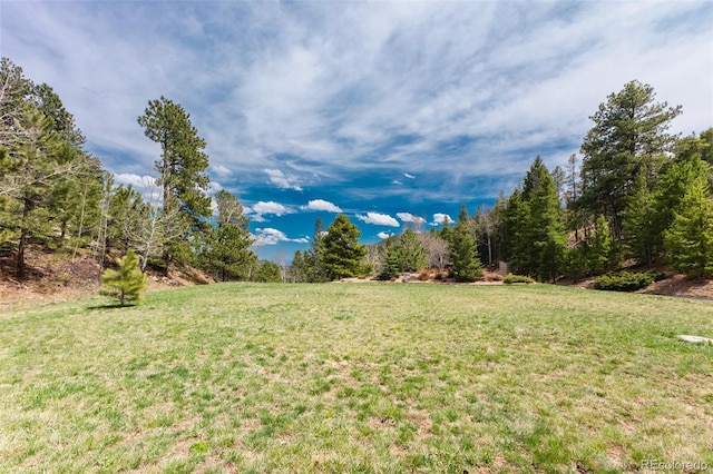 24 Pine Valley Rd, Evergreen, CO 80439 - view of yard