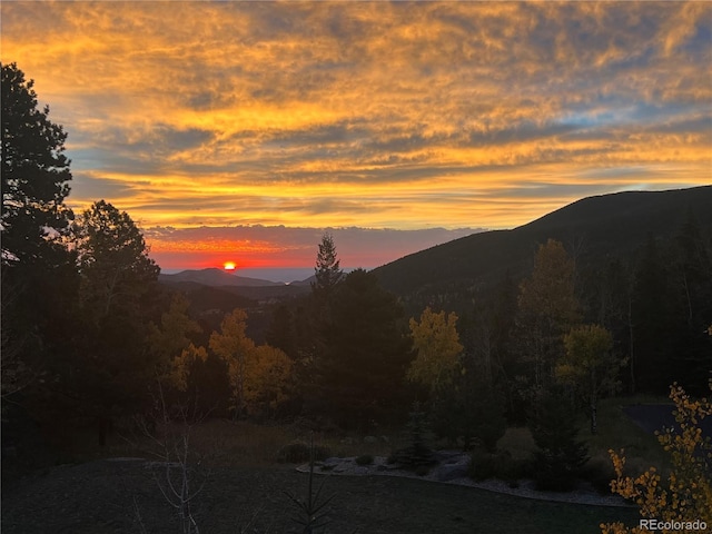 24 Pine Valley Rd, Evergreen, CO 80439 - mountain view