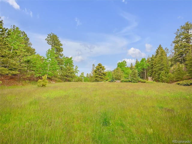 24 Pine Valley Rd, Evergreen, CO 80439 - view of yard with a forest view