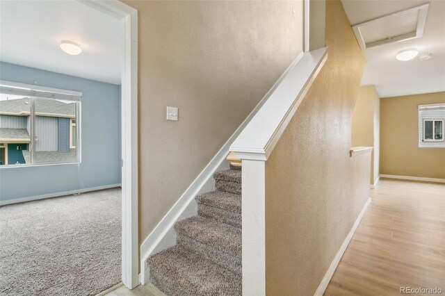 6627 John Muir Trl, Colorado Springs, CO 80927