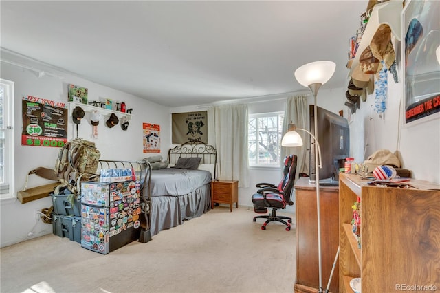 bedroom with carpet floors