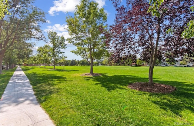 exterior space featuring a yard