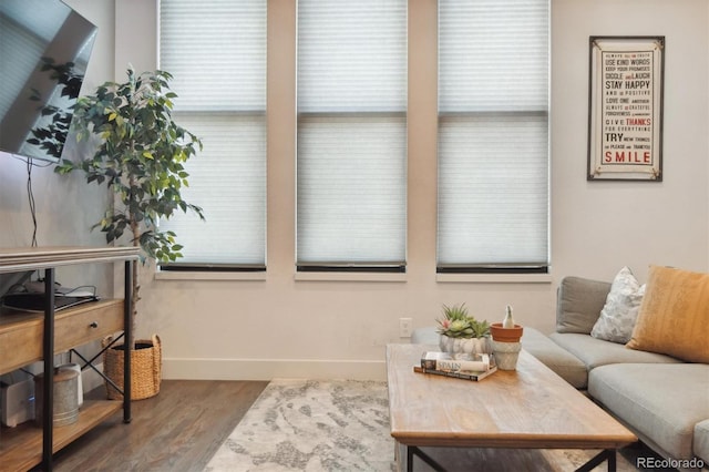 living room with hardwood / wood-style floors