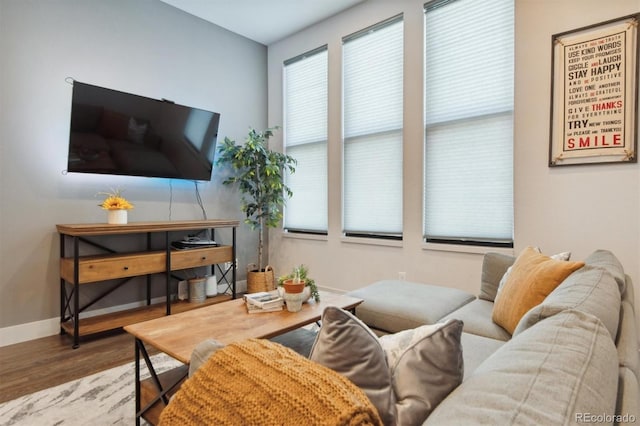 living room with hardwood / wood-style flooring