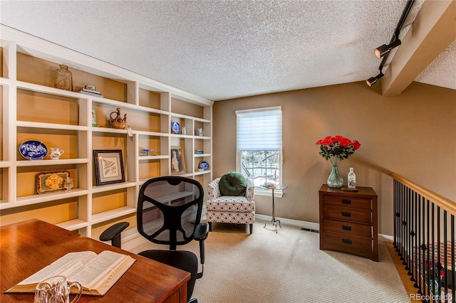 home office with baseboards, visible vents, a textured ceiling, and light colored carpet