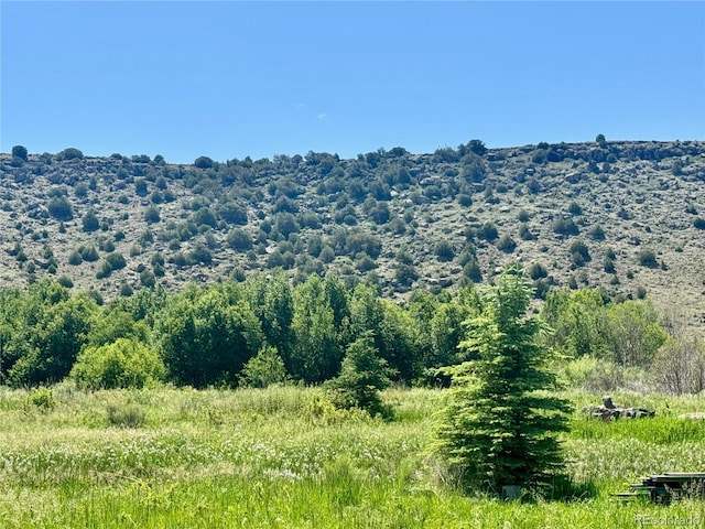 218 Canyon Rd, Capulin, CO 81140 - photo 6