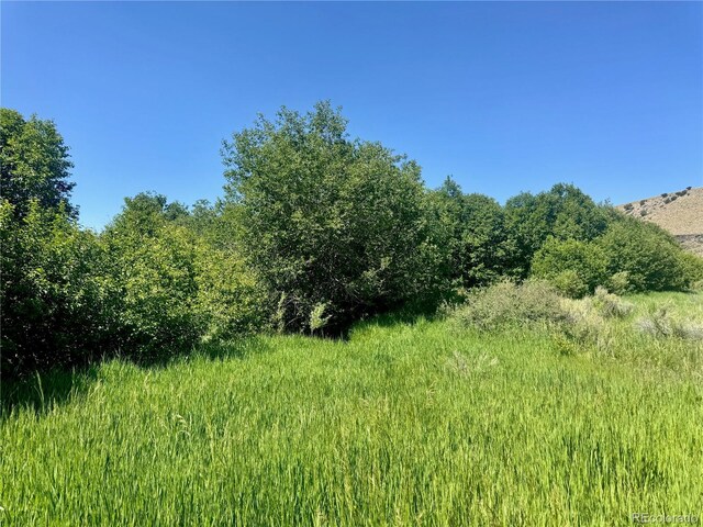 218 Canyon Rd, Capulin, CO 81140 - photo 18