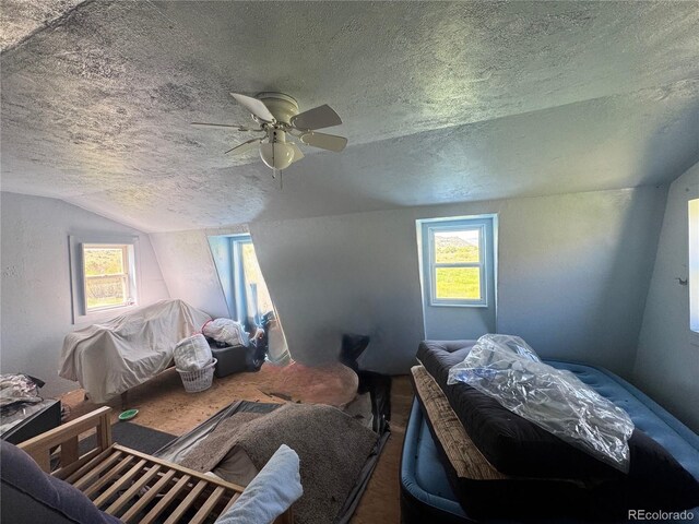 218 Canyon Rd, Capulin, CO 81140 - photo 28