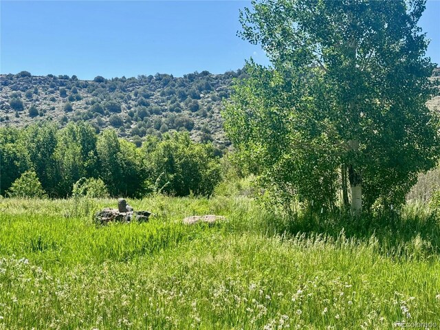 218 Canyon Rd, Capulin, CO 81140 - photo 17