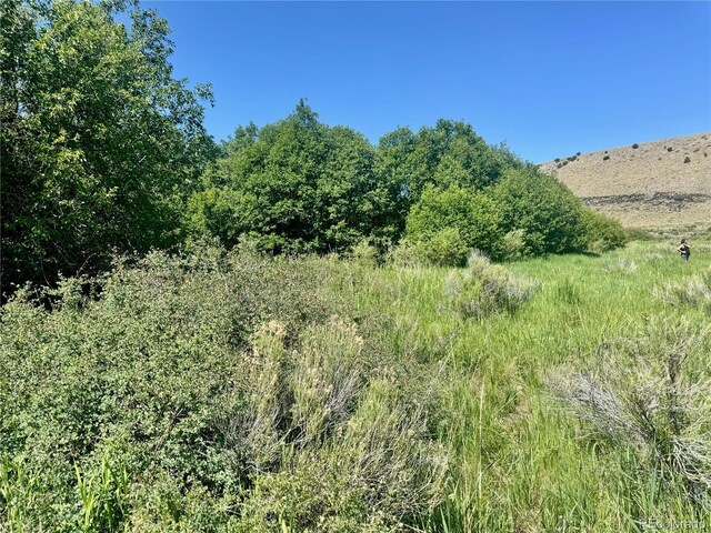 218 Canyon Rd, Capulin, CO 81140 - photo 20