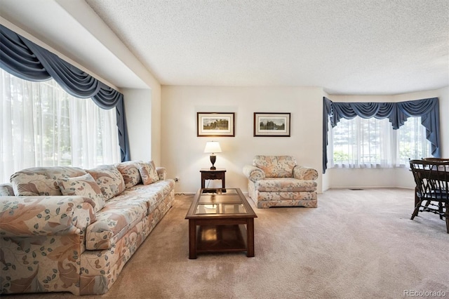 13362 Marion St, Thornton, CO 80241 - living room with a textured ceiling and carpet flooring