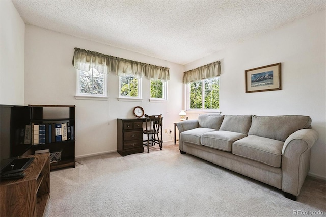 13362 Marion St, Thornton, CO 80241 - living area featuring carpet floors and a textured ceiling