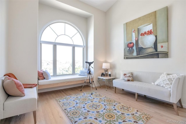 sitting room featuring light hardwood / wood-style floors