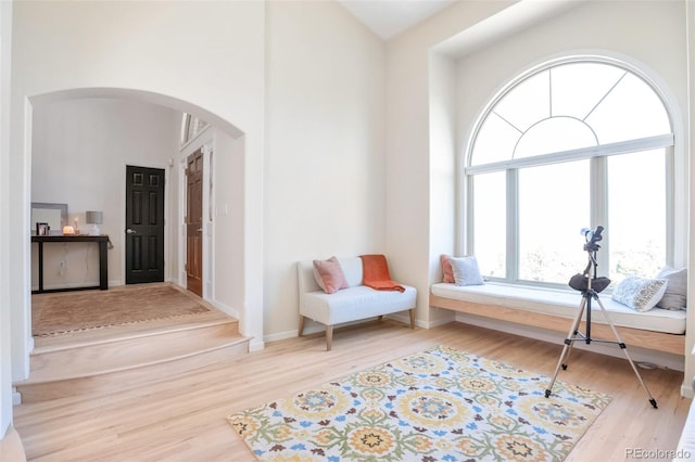 living area with light hardwood / wood-style flooring