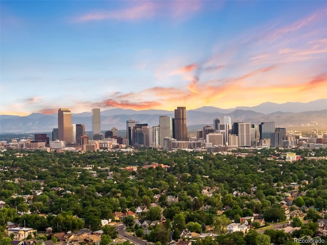 3359 Steele St, Denver, CO 80205 - photo 45