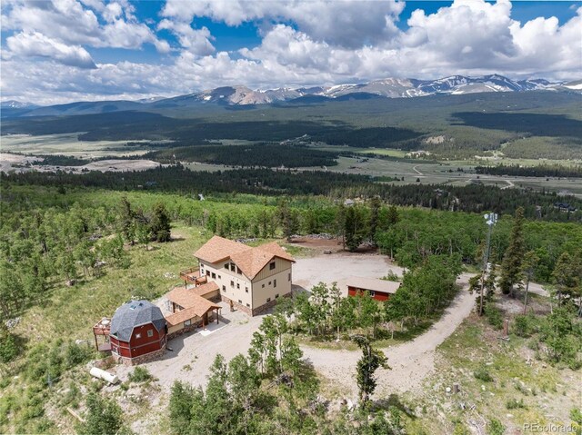 2120 Platte River Dr, Fairplay, CO 80440 - photo 6