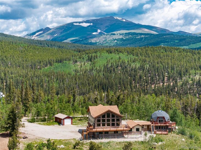 2120 Platte River Dr, Fairplay, CO 80440 - photo 44