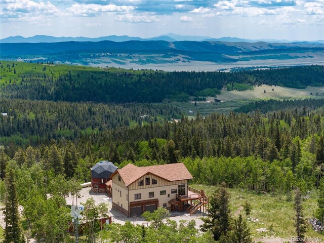 2120 Platte River Dr, Fairplay, CO 80440 - photo 45