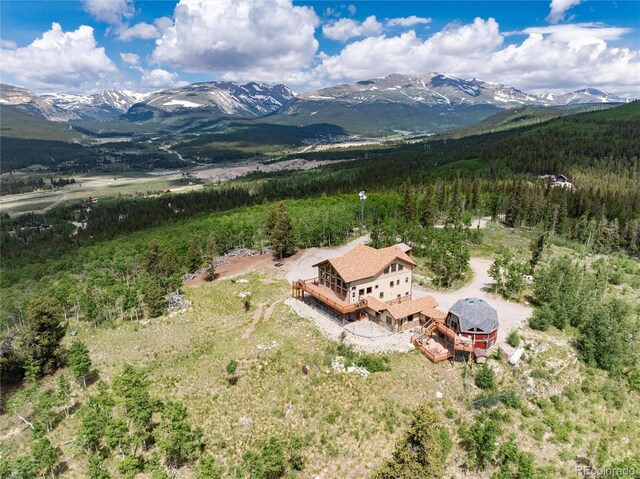 2120 Platte River Dr, Fairplay, CO 80440 - photo 46