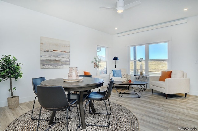 dining area with a wealth of natural light, ceiling fan, and light hardwood / wood-style floors