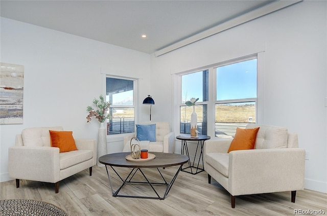 sitting room with plenty of natural light and hardwood / wood-style flooring