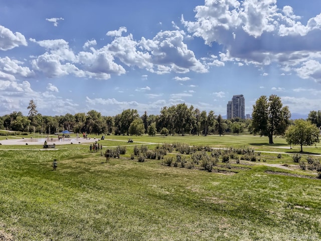 view of community with a yard