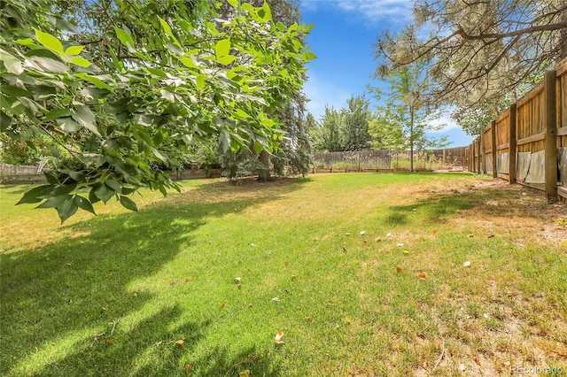 8152 W Frost Ave, Littleton, CO 80128 - photo 43