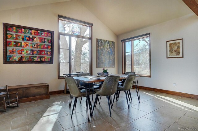 1100 Pinon Dr, Poncha Springs, CO 81242 - dining space with baseboards, plenty of natural light, and vaulted ceiling