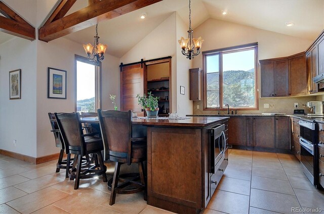 1100 Pinon Dr, Poncha Springs, CO 81242 - kitchen with a chandelier, a center island, a barn door, and stainless steel appliances