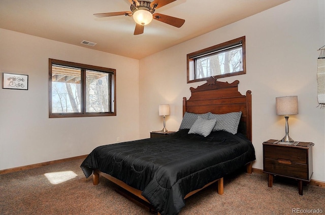 1100 Pinon Dr, Poncha Springs, CO 81242 - carpeted bedroom with baseboards, multiple windows, and visible vents