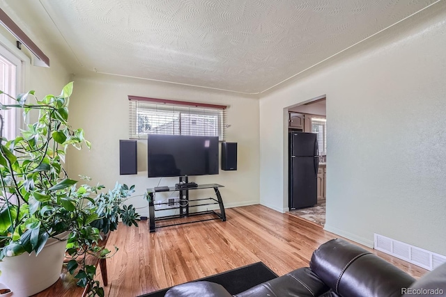 living room featuring wood-type flooring and a textured ceiling