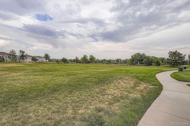 17525 Wilde Ave Unit 201, Parker, CO 80134 - photo 34