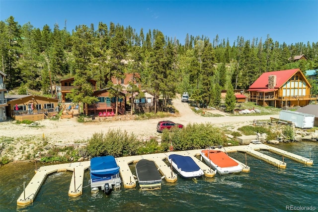 dock area with a water view