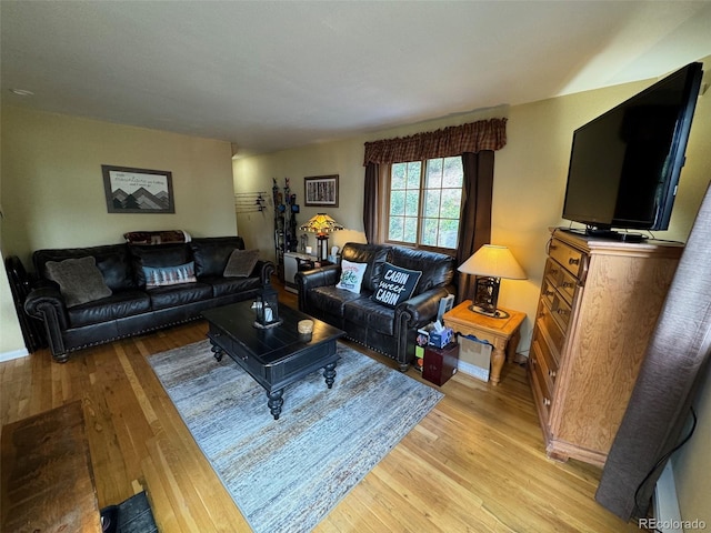 living room with light wood-type flooring