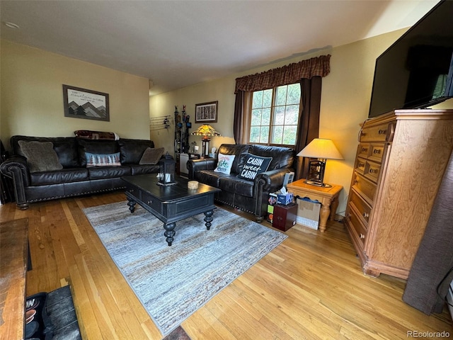 living room featuring light hardwood / wood-style floors