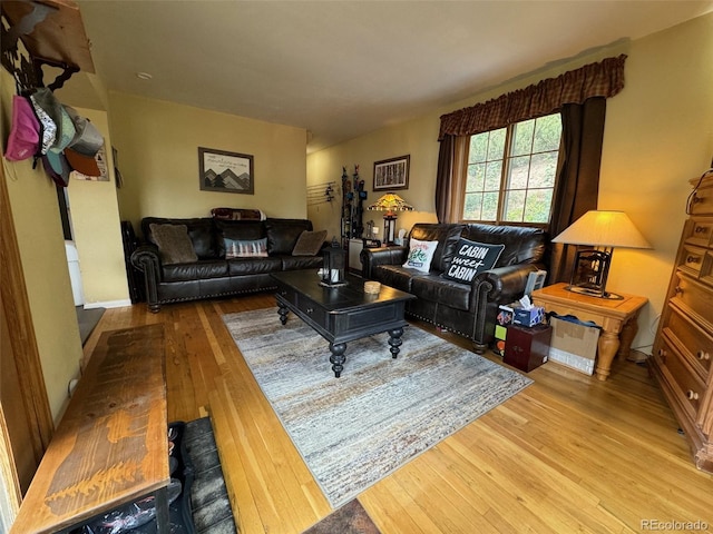 living room featuring light hardwood / wood-style flooring