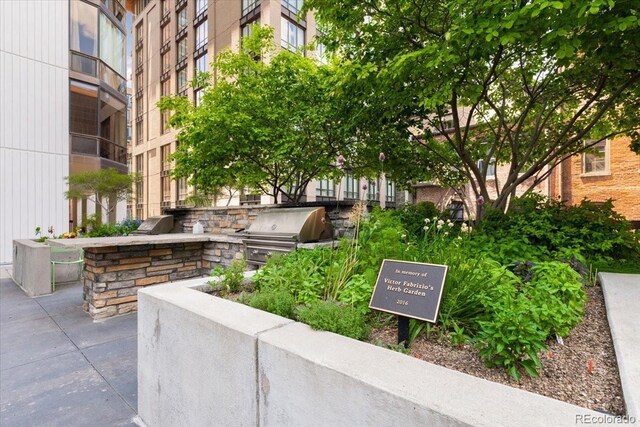 1625 Larimer St Unit 1605, Denver, CO 80202 - view of property's community with an outdoor kitchen