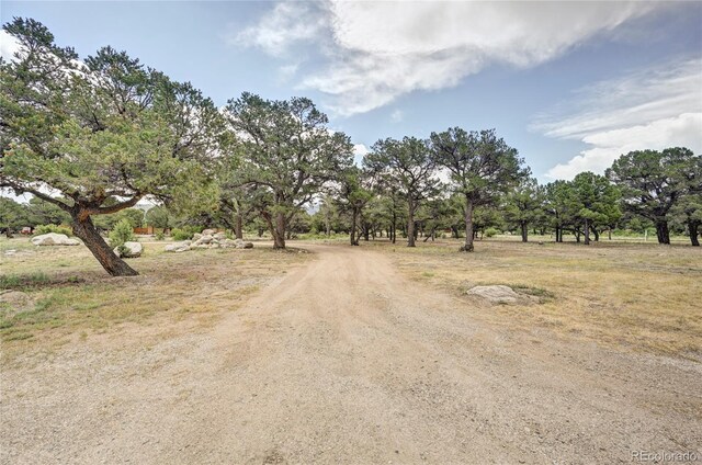15245 County Road 353, Buena Vista, CO 81211 - photo 45