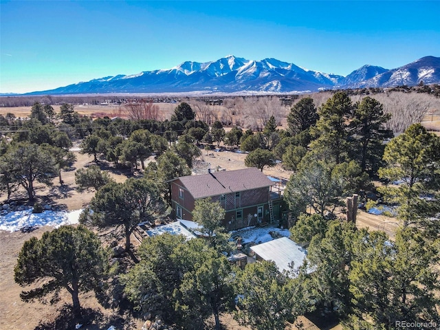 15245 County Road 353, Buena Vista, CO 81211 - photo 47