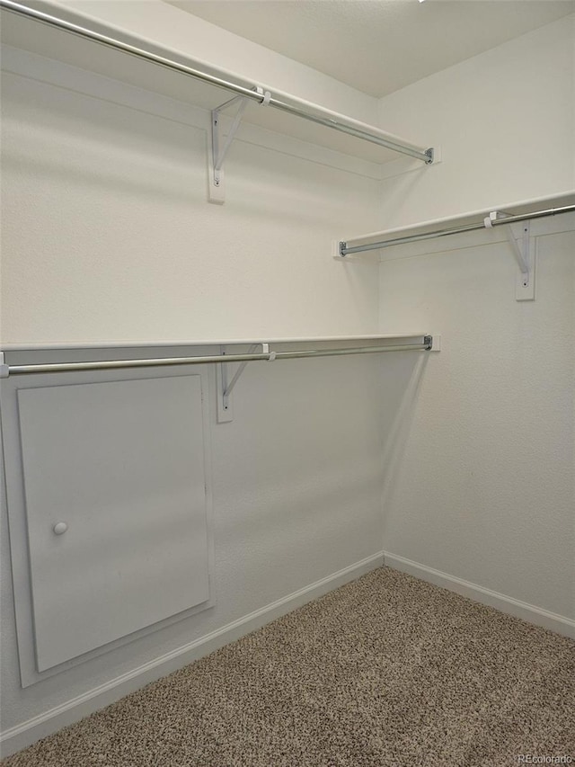 walk in closet featuring carpet flooring