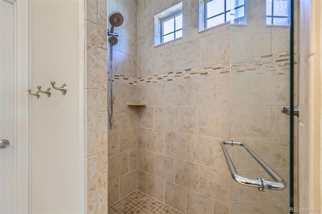 19753 E 54th Ave, Denver, CO 80249 - full bath with a shower stall