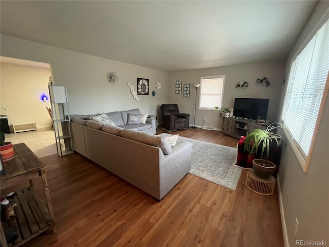 living room with wood-type flooring