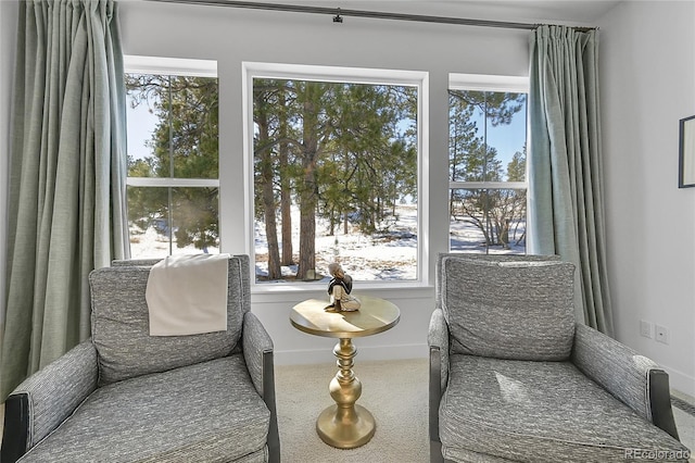 sitting room featuring carpet floors