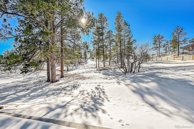 view of snowy yard