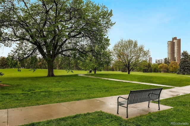 view of community with a lawn