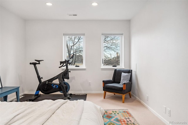 bedroom featuring carpet flooring